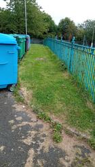 Bin Area Gleniffer Court.jpg