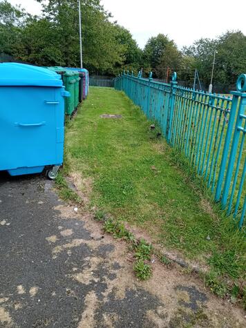 Bin Area Gleniffer Court.jpg
