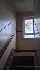 1000000177 paint close.jpg