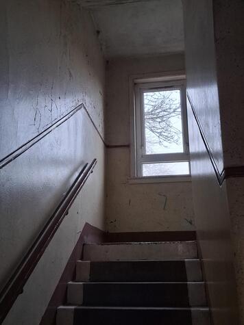 1000000177 paint close.jpg