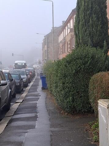 1000000180 - bins on street.jpg
