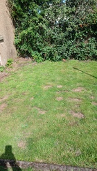 Communal seating area