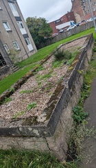 Anne Avenue planter.jpg
