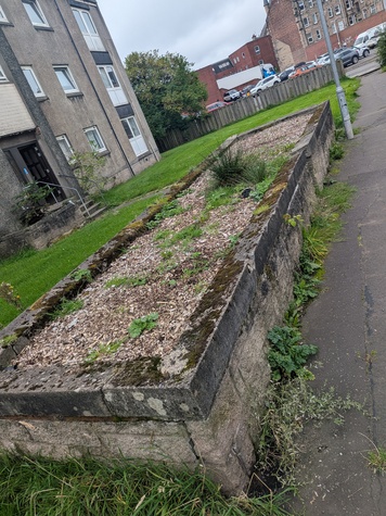 Anne Avenue planter.jpg