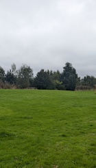 PXL_20260914_093417841.jpg
