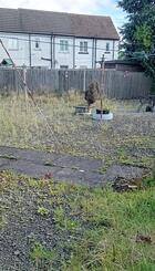 1 cotton Ave and 17 Reid Ave 22.9.26.jpg