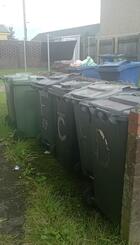 30 Brediland Road - Bin Area