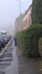 1000000180 - bins on street.jpg